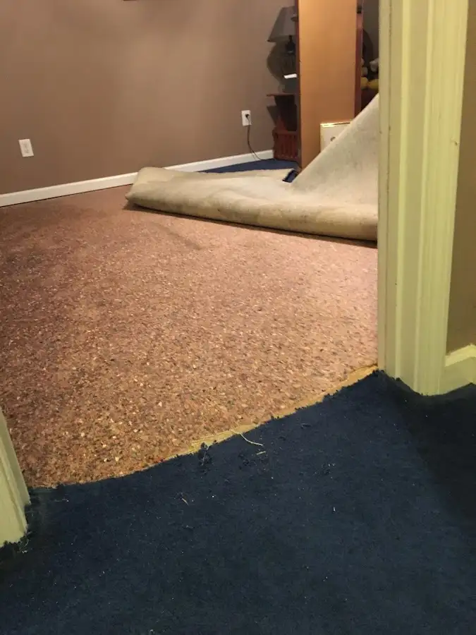 Carpet pad removal revealing water damage during Water Mitigation Services in Borger